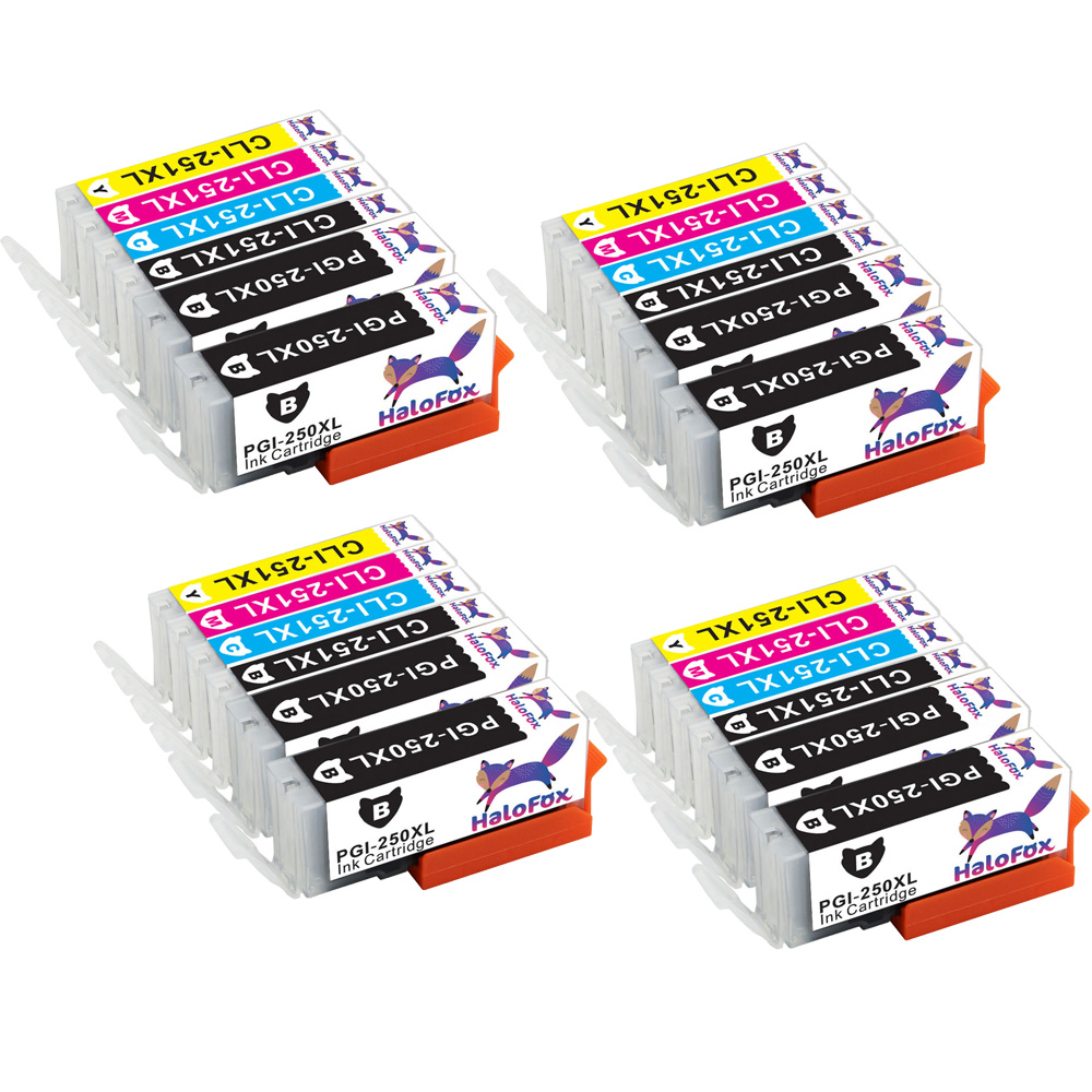 24PK Ink Cartridges PGI-250XL CLI-251XL Compatible for Canon PIXMA mg5620 mg7120 (No Gray)